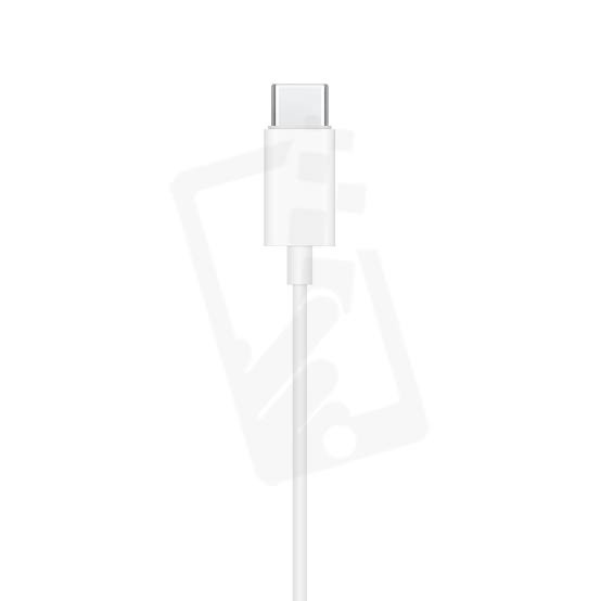 USB-C Wired EarPods with Microphone